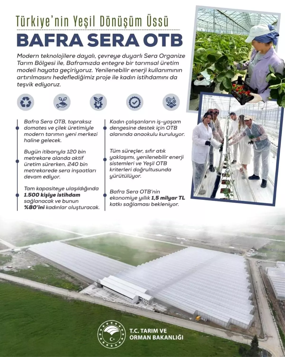 bafra sera organize tarim bolgesi projesi kadin istihdami ve ekonomik katki NpWxrIns.jpg